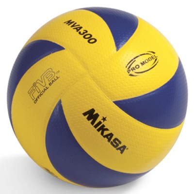 Bola Volly